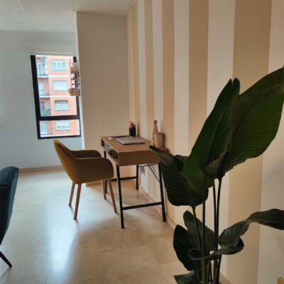 Consulta psicologia Ana Ancín